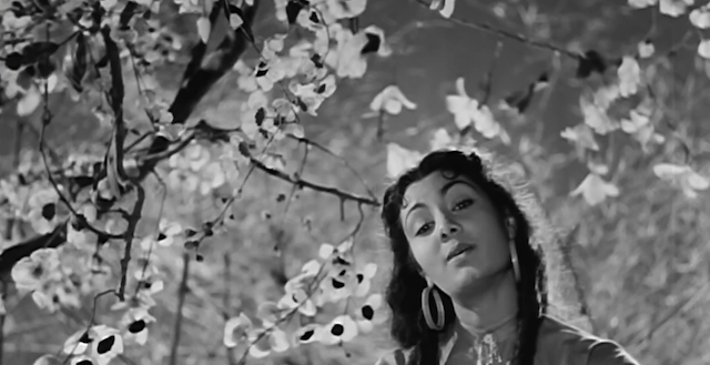 जिया बेक़रार है छाई बहार है, आजा मोरे बालमा तेरा इंतज़ार है- बरसात (1949)
